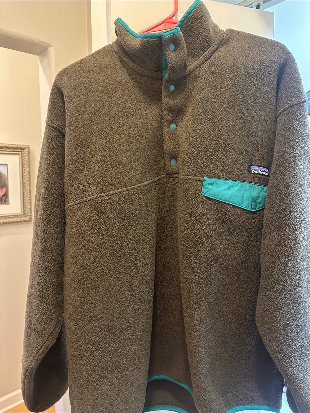 Patagonia Synchilla fleece